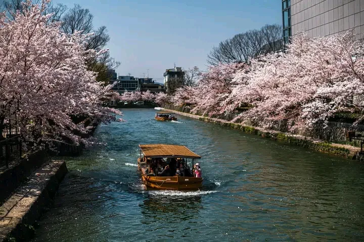 5 Nights 6 Days Luxury Yoga & Wellness Retreat, Kyoto, Japan
